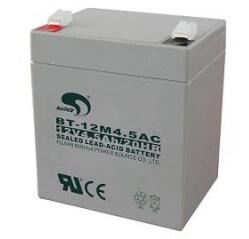 赛特蓄电池BT-12M4.5AC