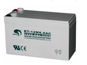 赛特蓄电池BT-12M8.0AC